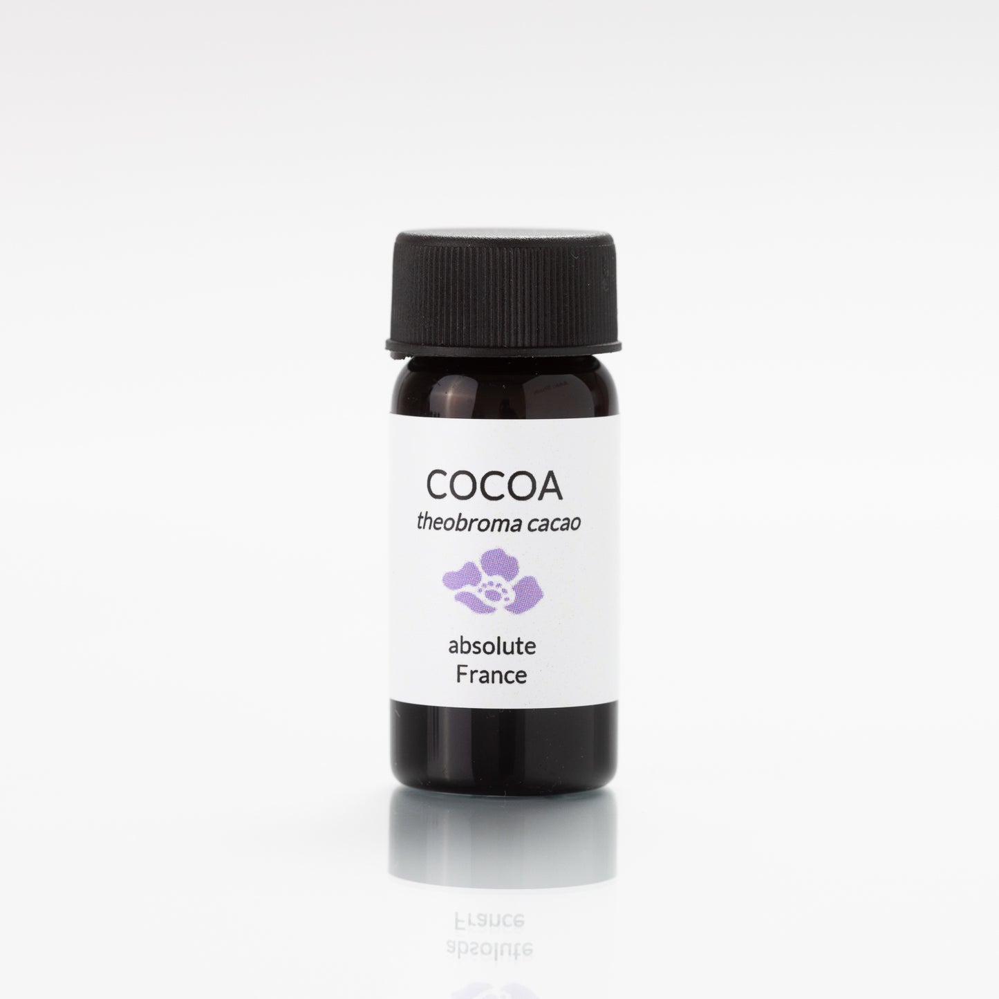 cocoa absolute