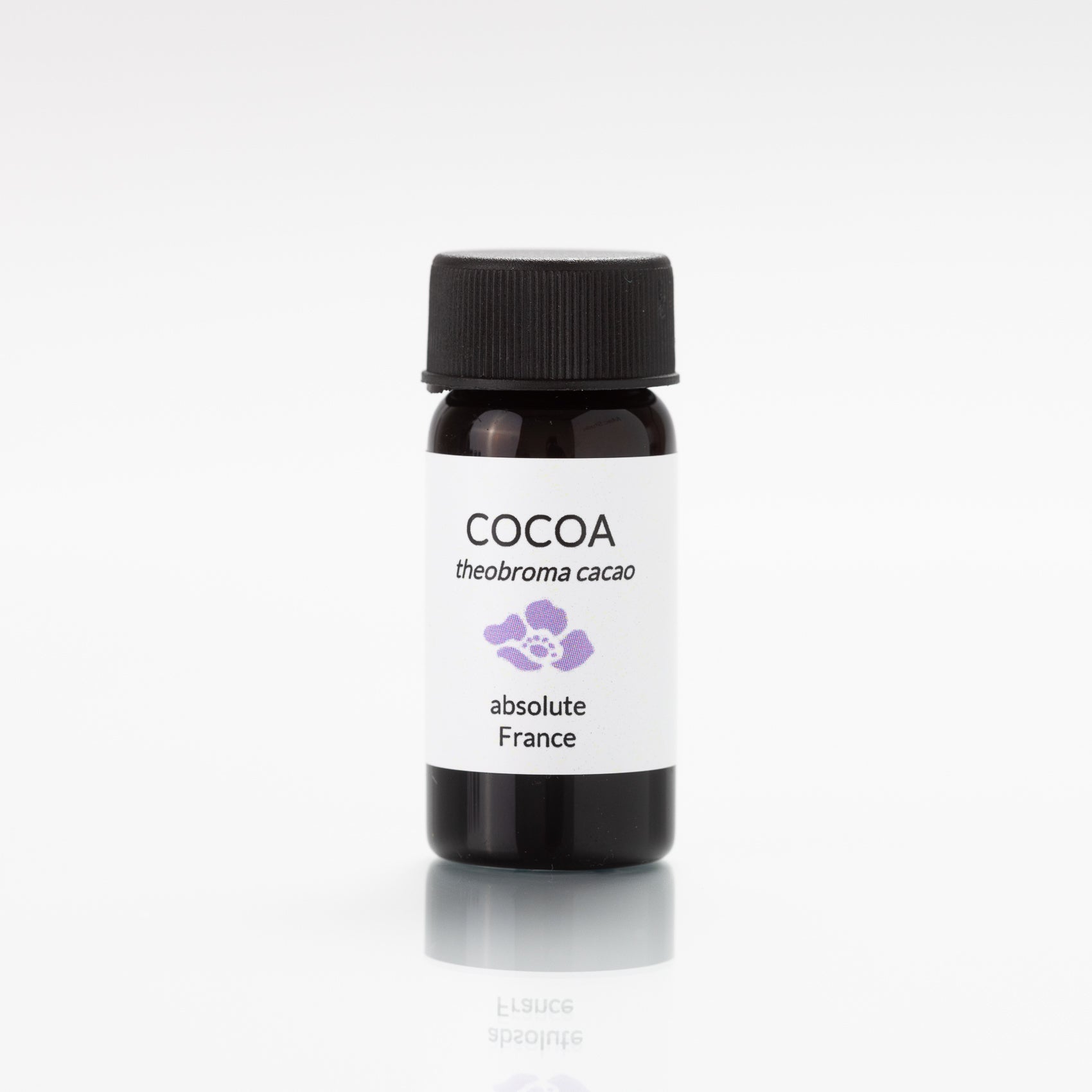 cocoa absolute