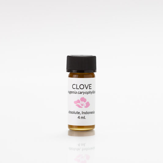 clove absolute