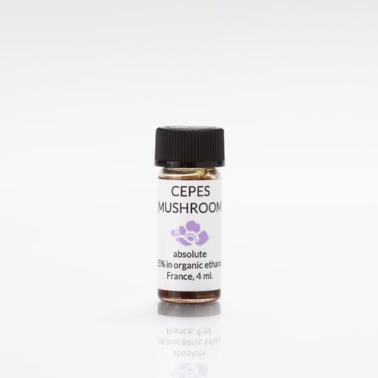 cepes/porcini mushroom absolute 25%