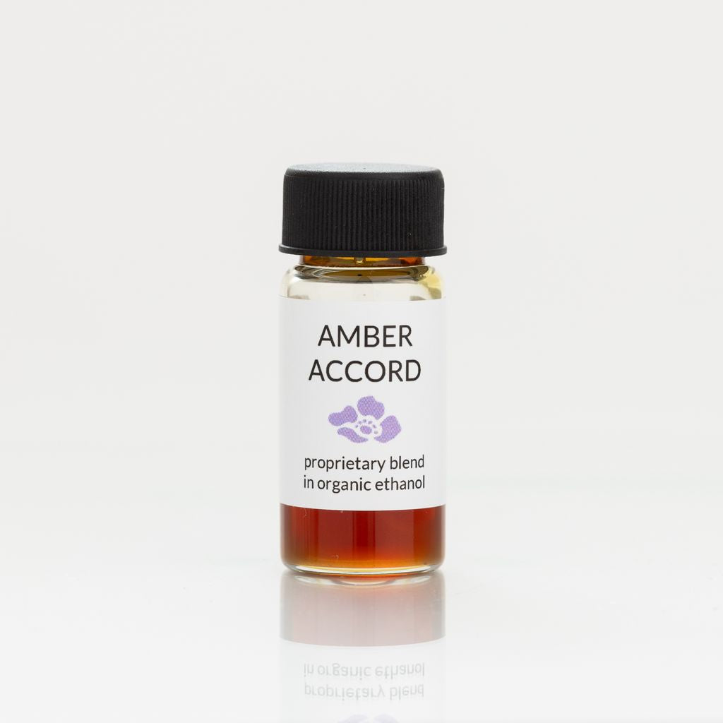 Amber Accord fragrance oil bottle with a black cap on a white background