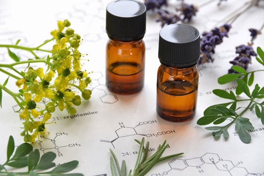 Chypre and Fougère Fragrance Formulation Class ONLINE: April  25th, 2026