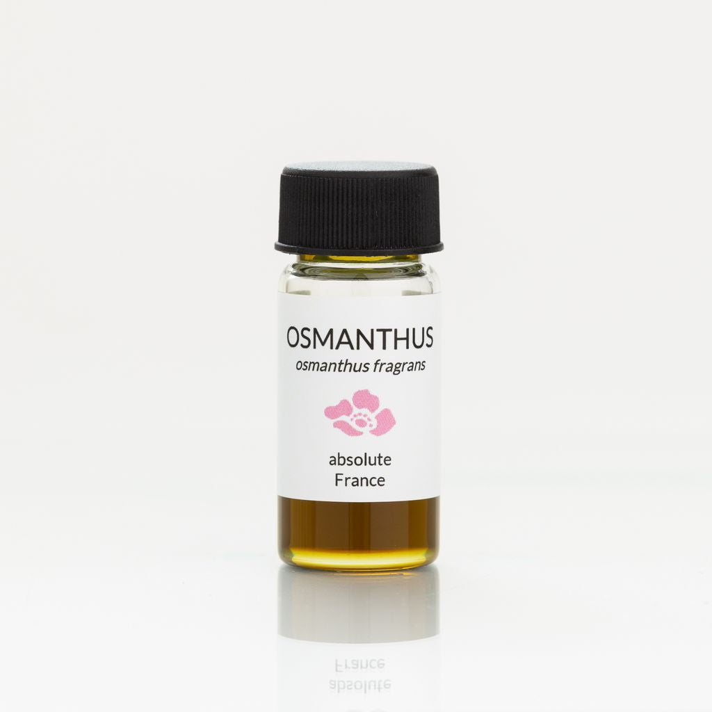 osmanthus