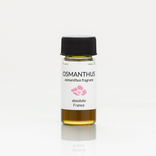 osmanthus