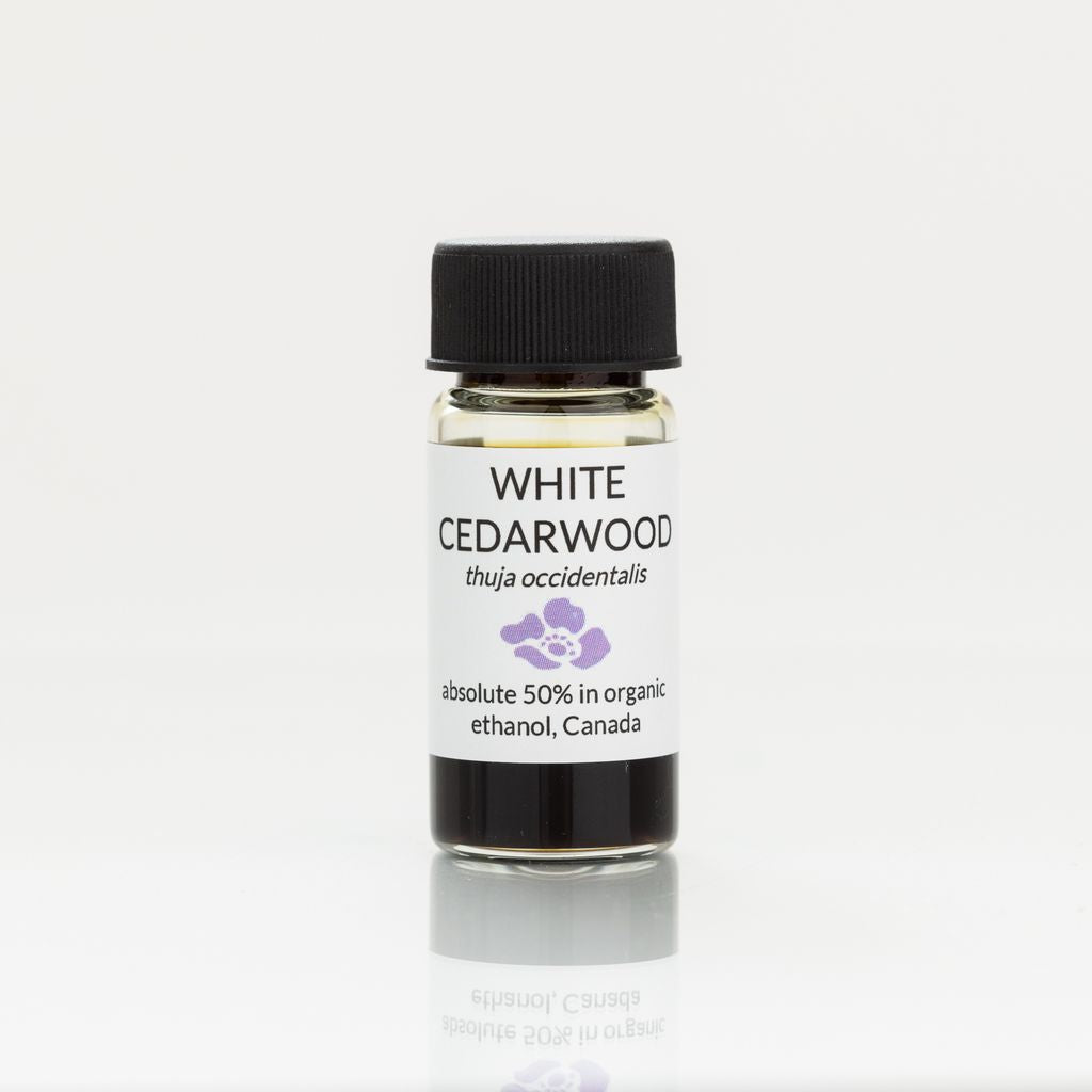 Bottle of white cedarwood absolute with a black cap on a white background