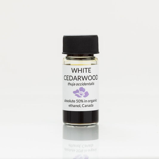Bottle of white cedarwood absolute with a black cap on a white background